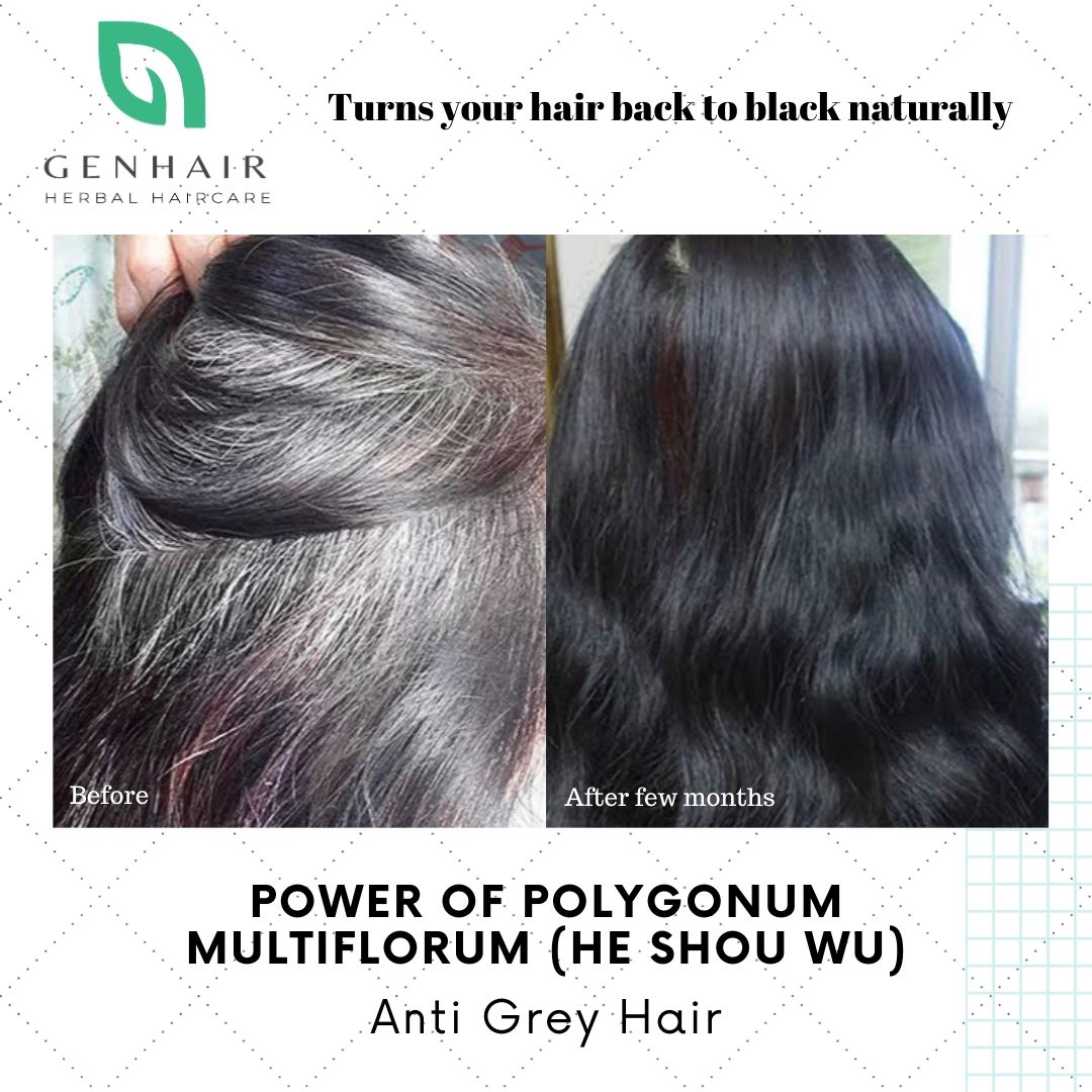 Natural Polygonum Ginseng Shampoo Bar For Anti Grey Hair Genhair Herbal Hair Care