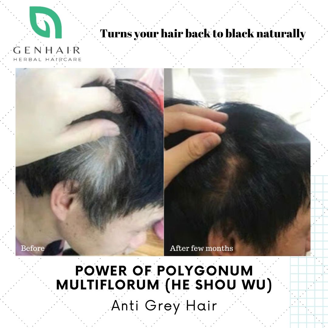 natural shampoo that can turn white grey hair black